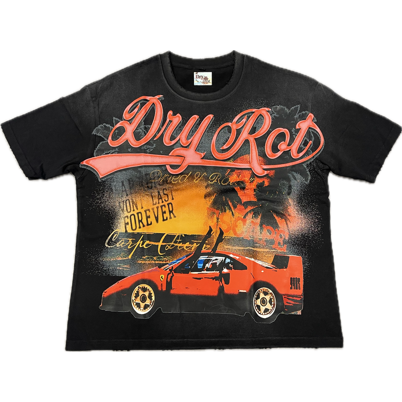 Dry Rot For The Moment Tee "Black"