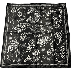 3 Coin Bandana