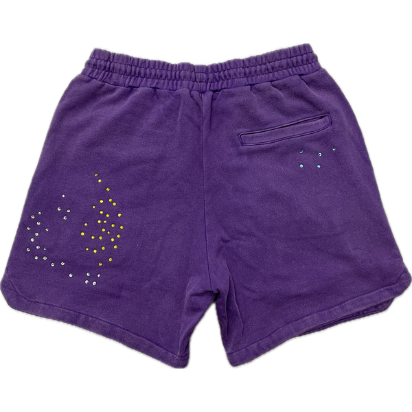 Paper Money Shorts "Purple"