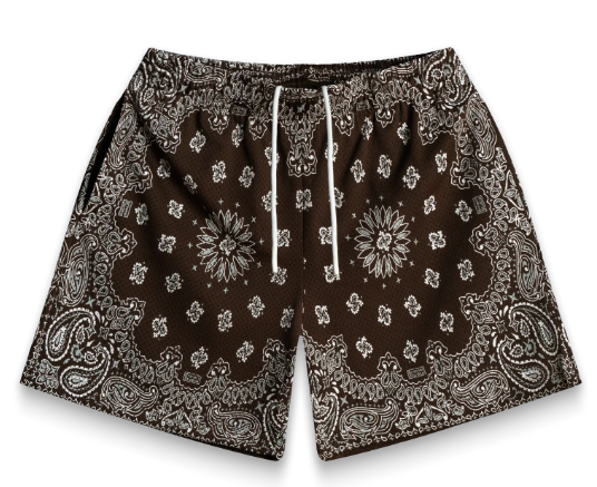 Bravest Studios Two Tone Paisley Mesh Shorts "Chocolate"