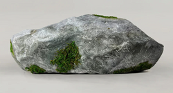Bravest Studios Rock Shoe