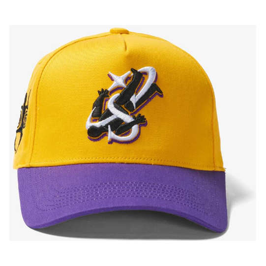 Sugar Hill Anatomy Hat "Yellow/Purple"