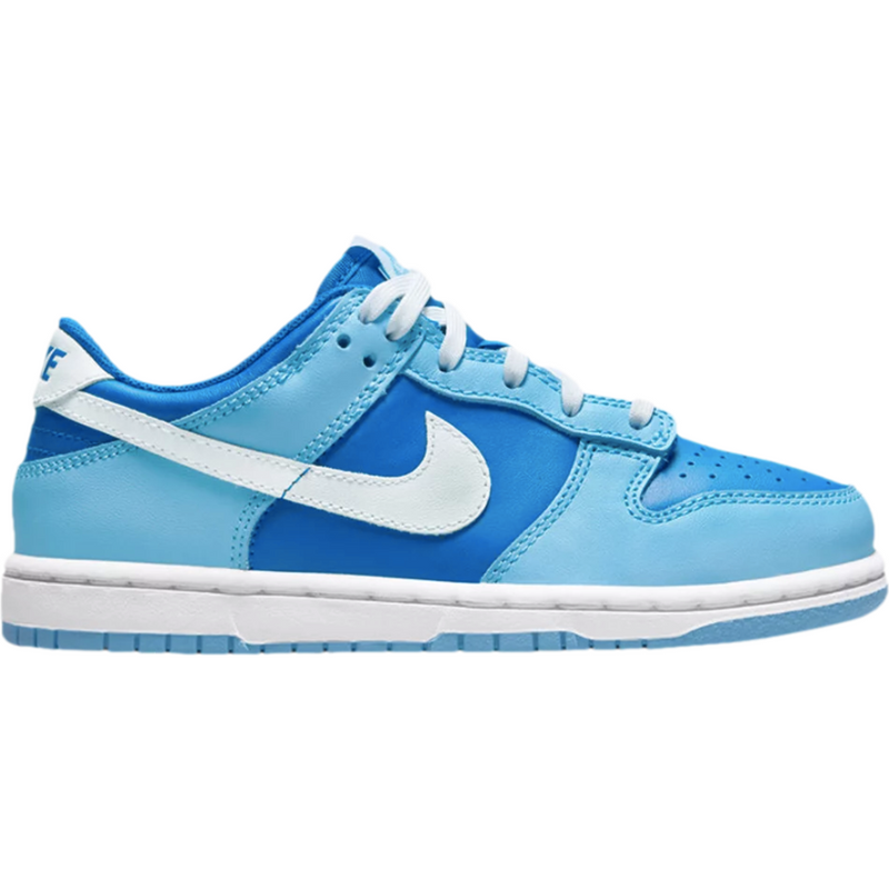 Nike Dunk Low "Argon"